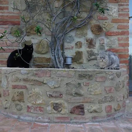Mormoraia