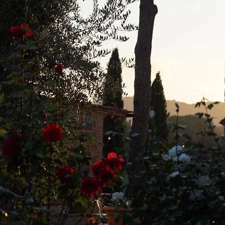Farm stay Mormoraia *