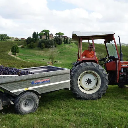 Farm stay Mormoraia San Gimignano