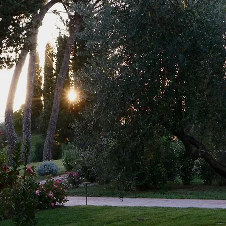 Farm stay Mormoraia San Gimignano