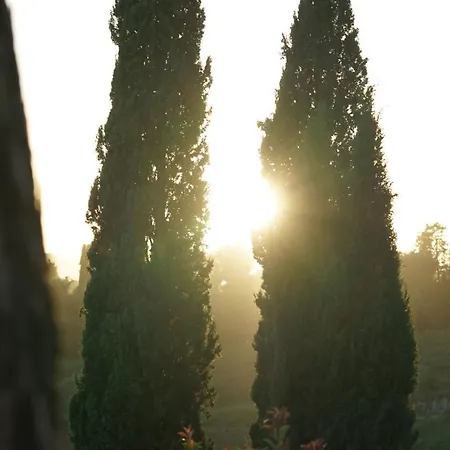 Mormoraia San Gimignano