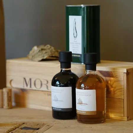 Mormoraia Farm stay San Gimignano