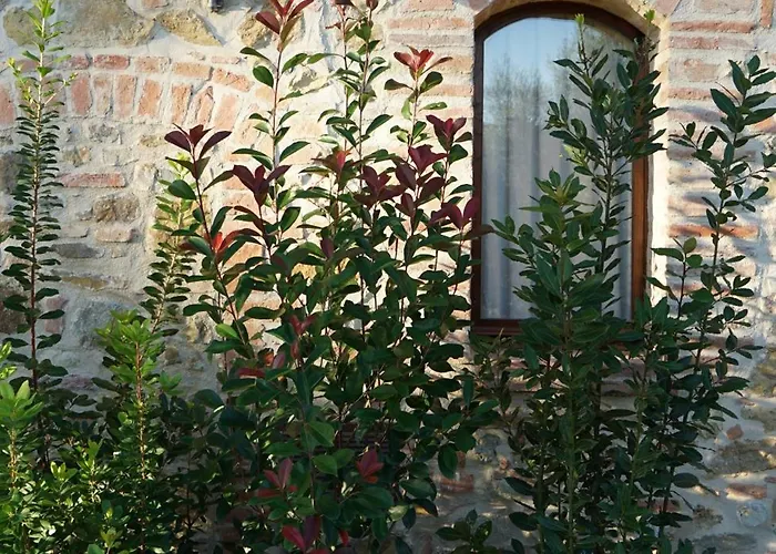 Mormoraia Çiftlik konaklama San Gimignano