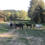 Mormoraia Vakantieboerderij