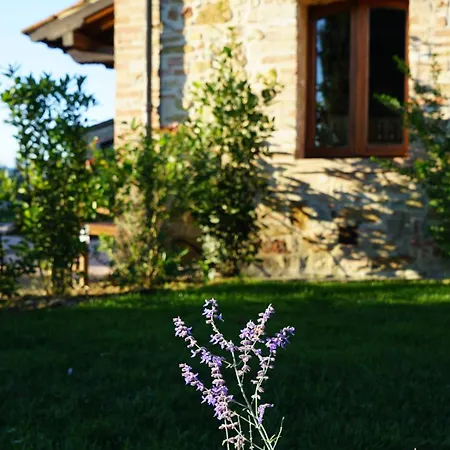 Mormoraia Farm stay *