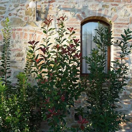 Mormoraia Farma San Gimignano