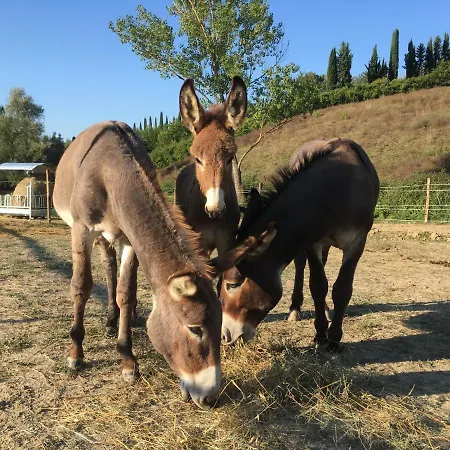 Mormoraia San Gimignano