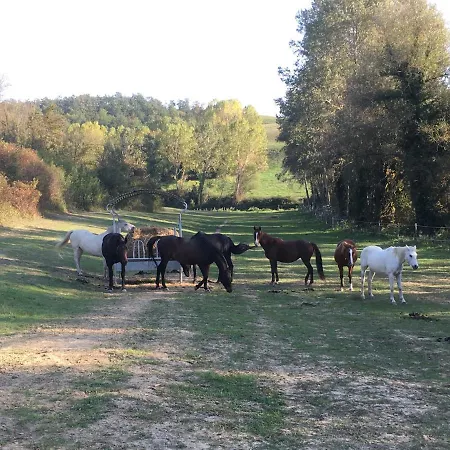 Mormoraia Farm stay